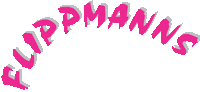 Flippmanns: Musik, Music, Band, Rock, Live, Live-Musik, Live-Music, Rock-Music, Party, Auftritt, GIG, Flippmanns, Bänderriss, Konzert, Artist, Künstler, Rock'n'roll